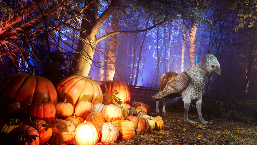 Halloween au Refuge du Sorcier à Libourne